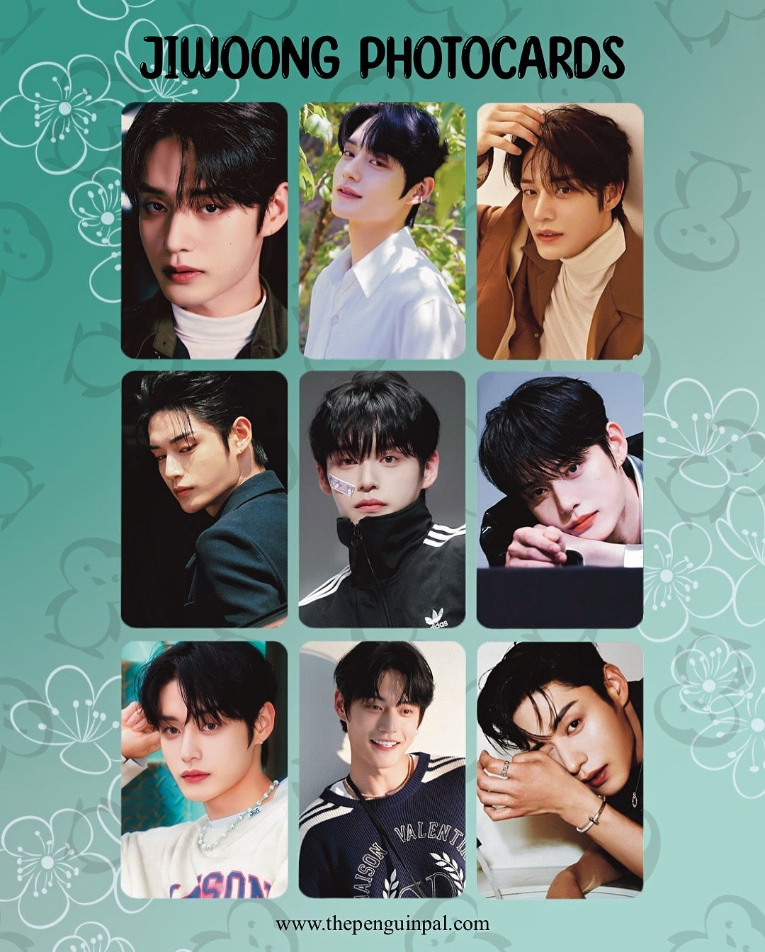 Jiwoong Photocards (9 pcs)