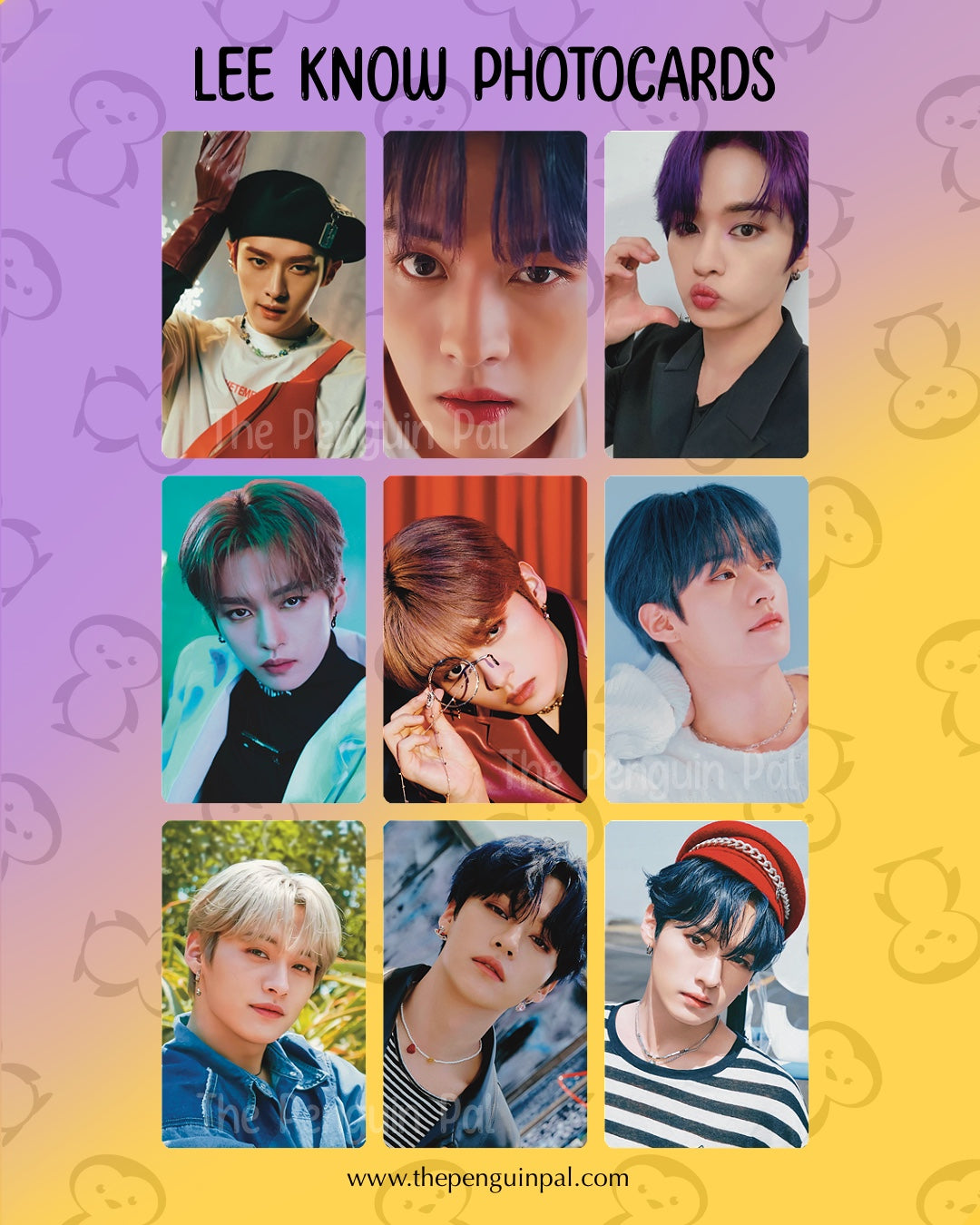 Lee Know Bias Photocards (18 pcs)