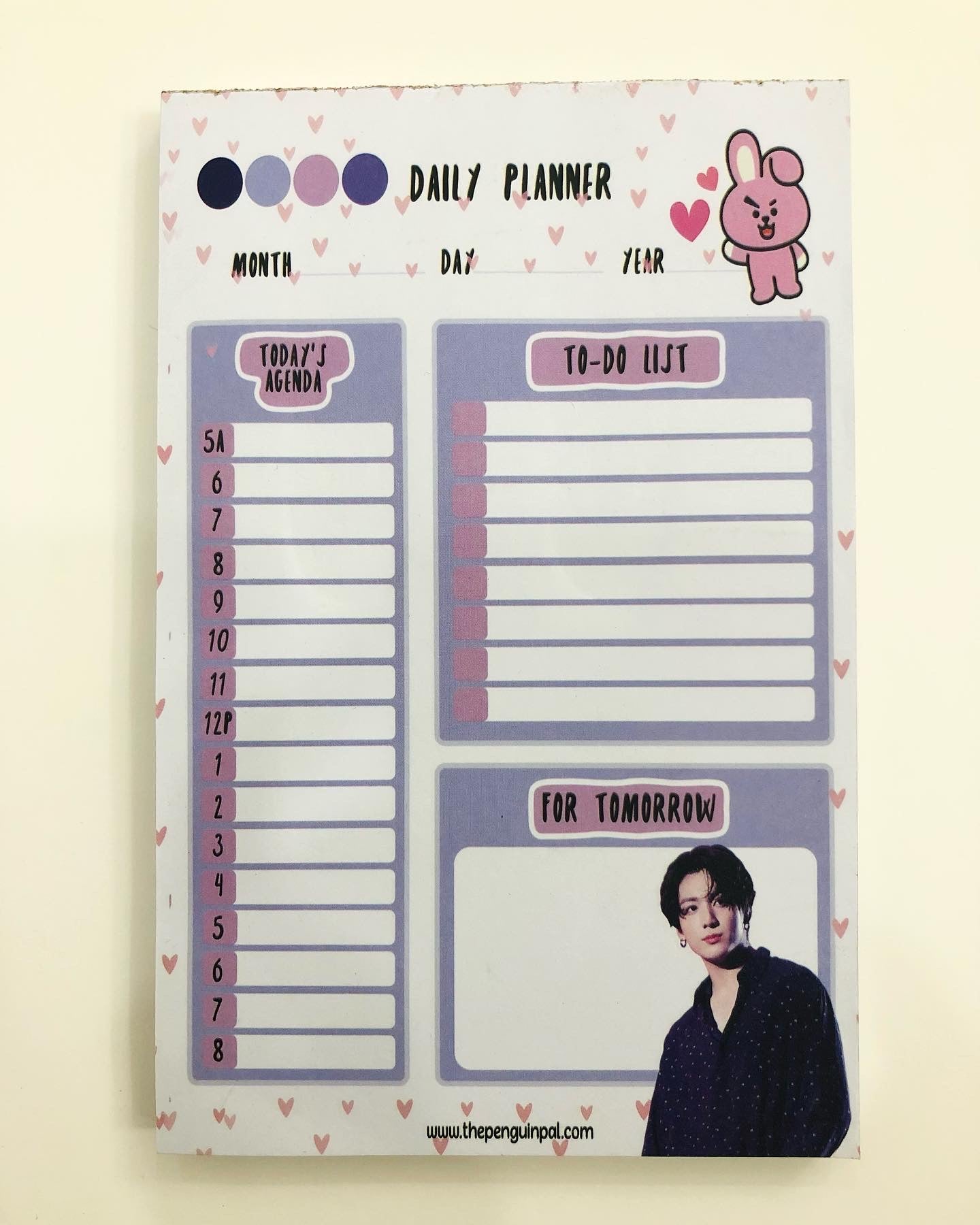 Daily Planner (100 Sheets)