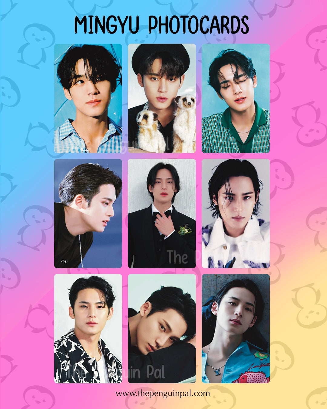 Mingyu Bias Photocards (18 pcs)