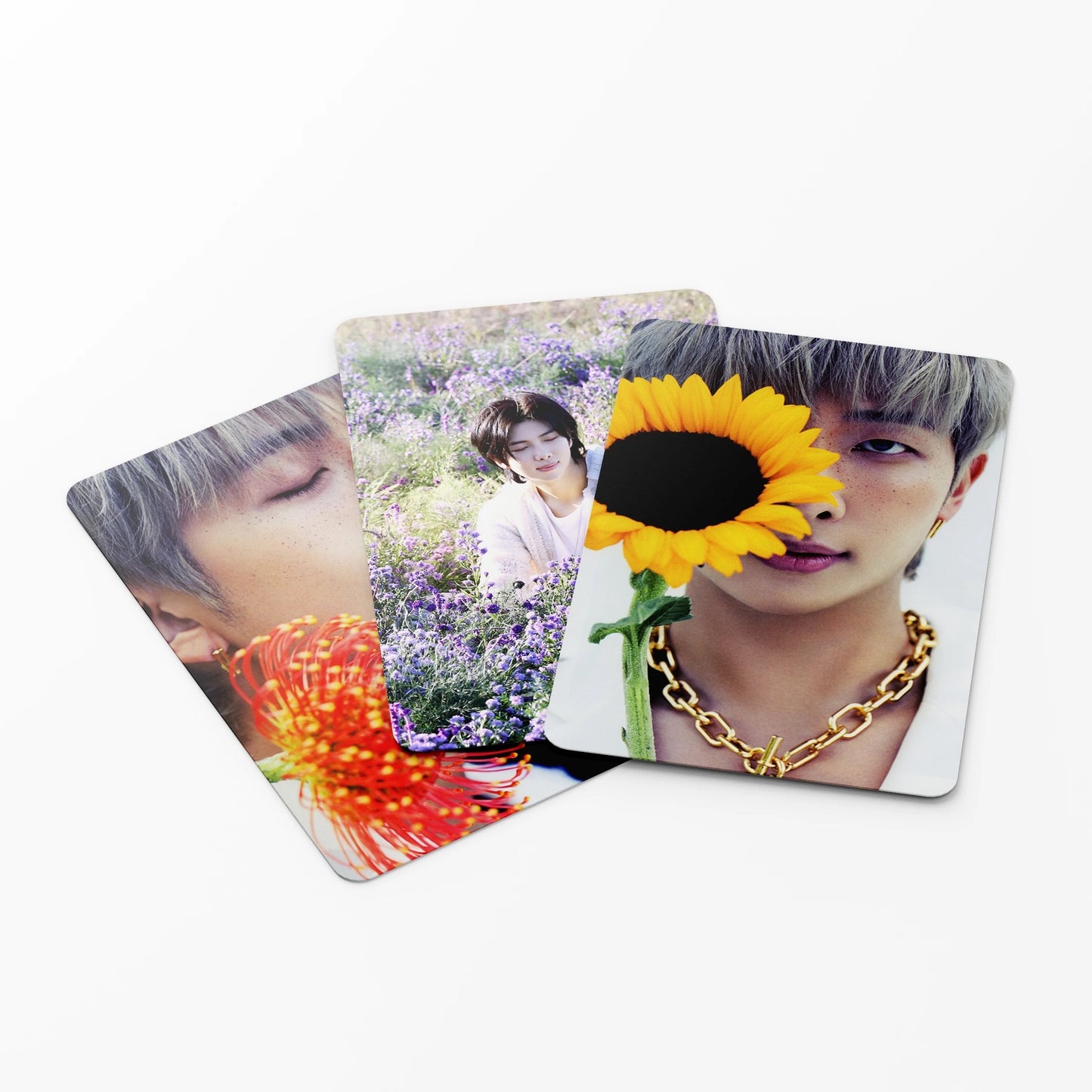 RM Entirety Lomocards (55 pcs)