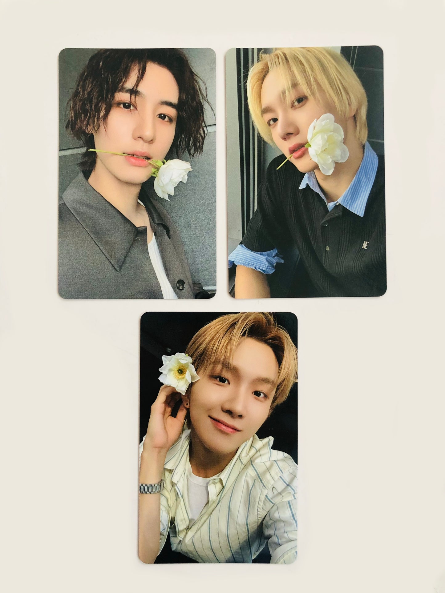 Boynextdoor The Action Weverse Official POB Photocards