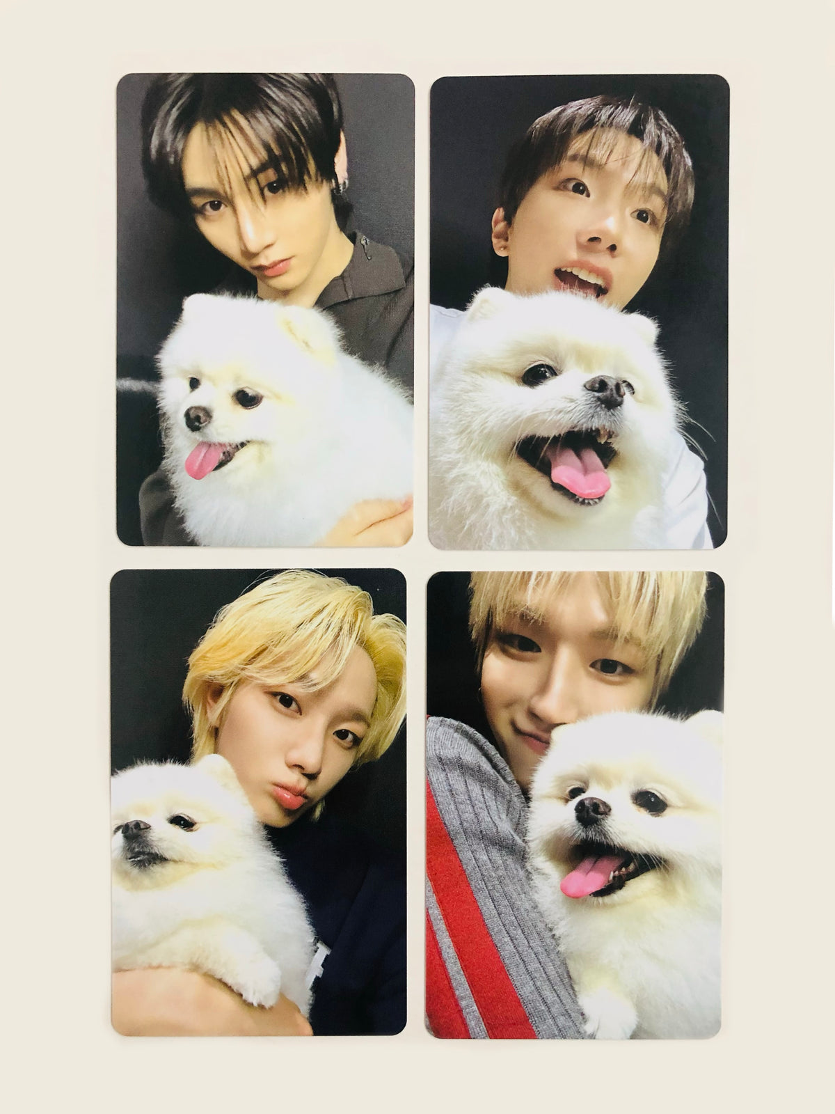 Boynextdoor Home Official Weverse Gift Photocards
