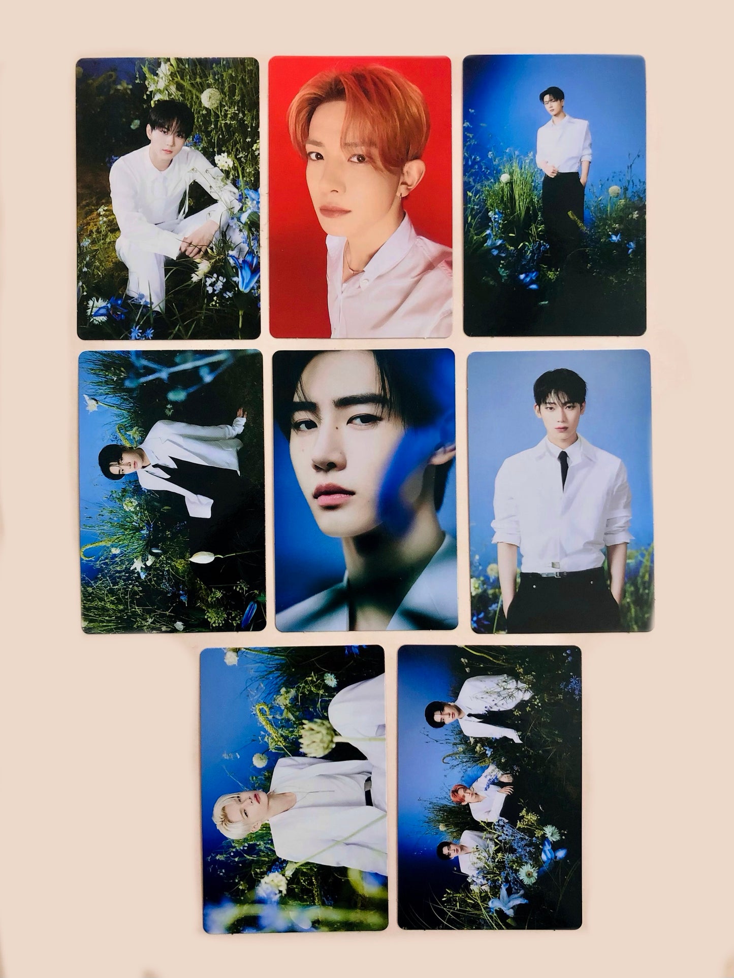 Enhypen Walk The Line Merch Official Photocards Set