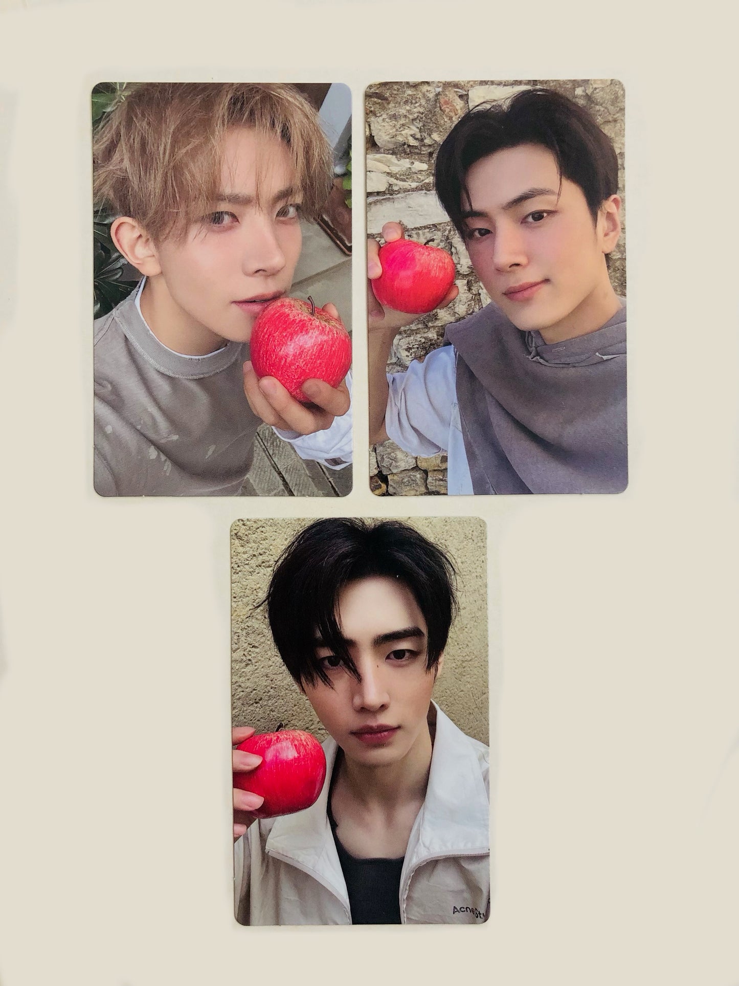 Enhypen The Sin: Vanish Official Showcase Live Gift Photocards