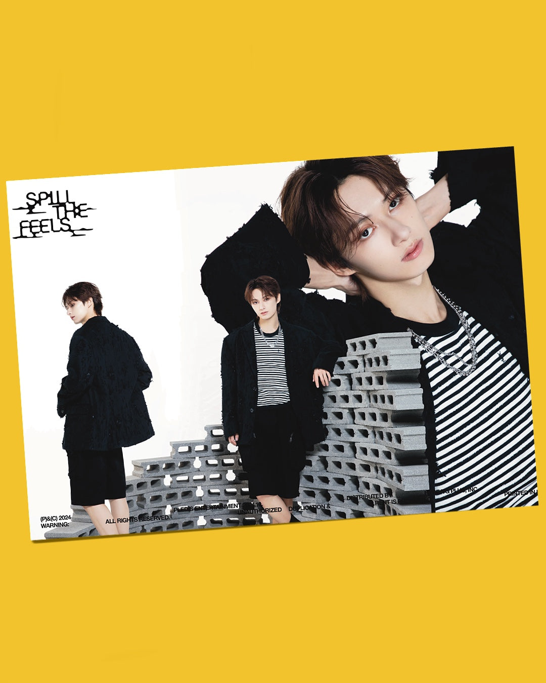 Seventeen Spill The Feels Poster Set (13 pcs)