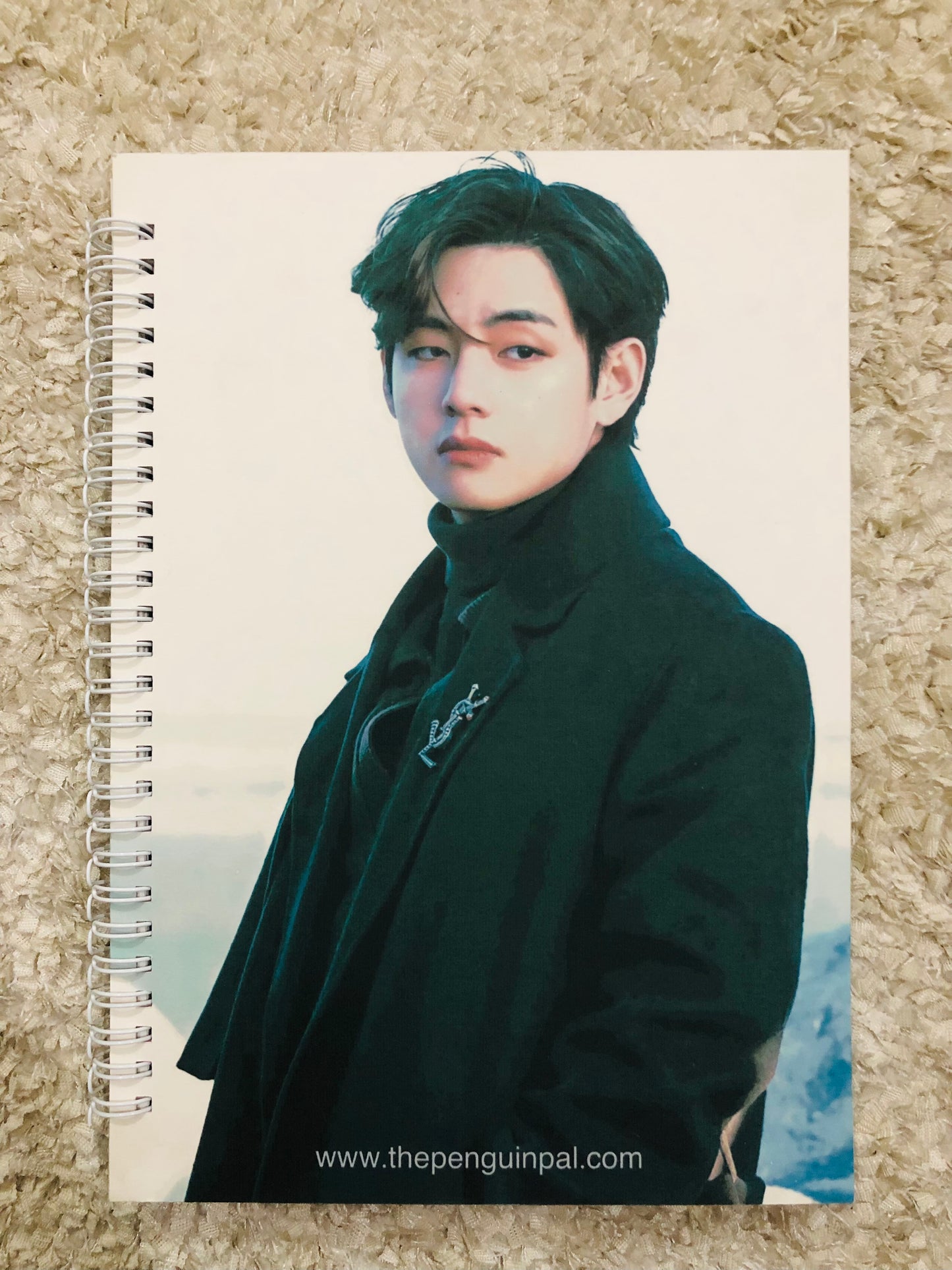 Taehyung Winter Package Bias Notebook