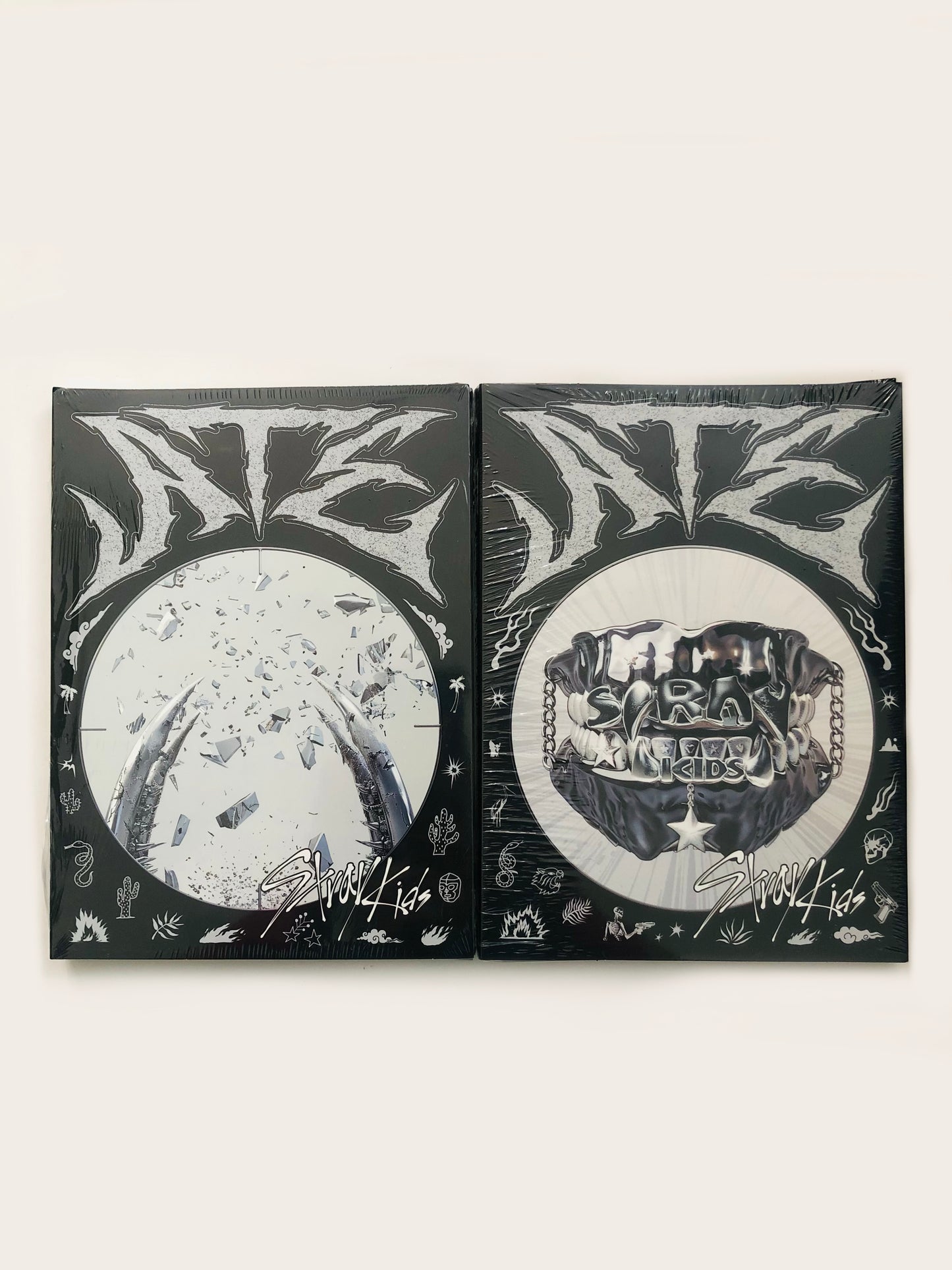 Stray Kids ATE Official Standard Album
