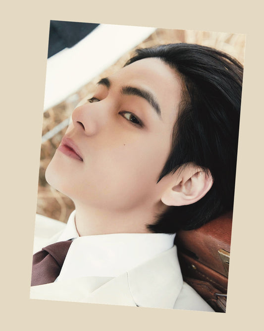 V Photofolio Poster Set (10 pcs)