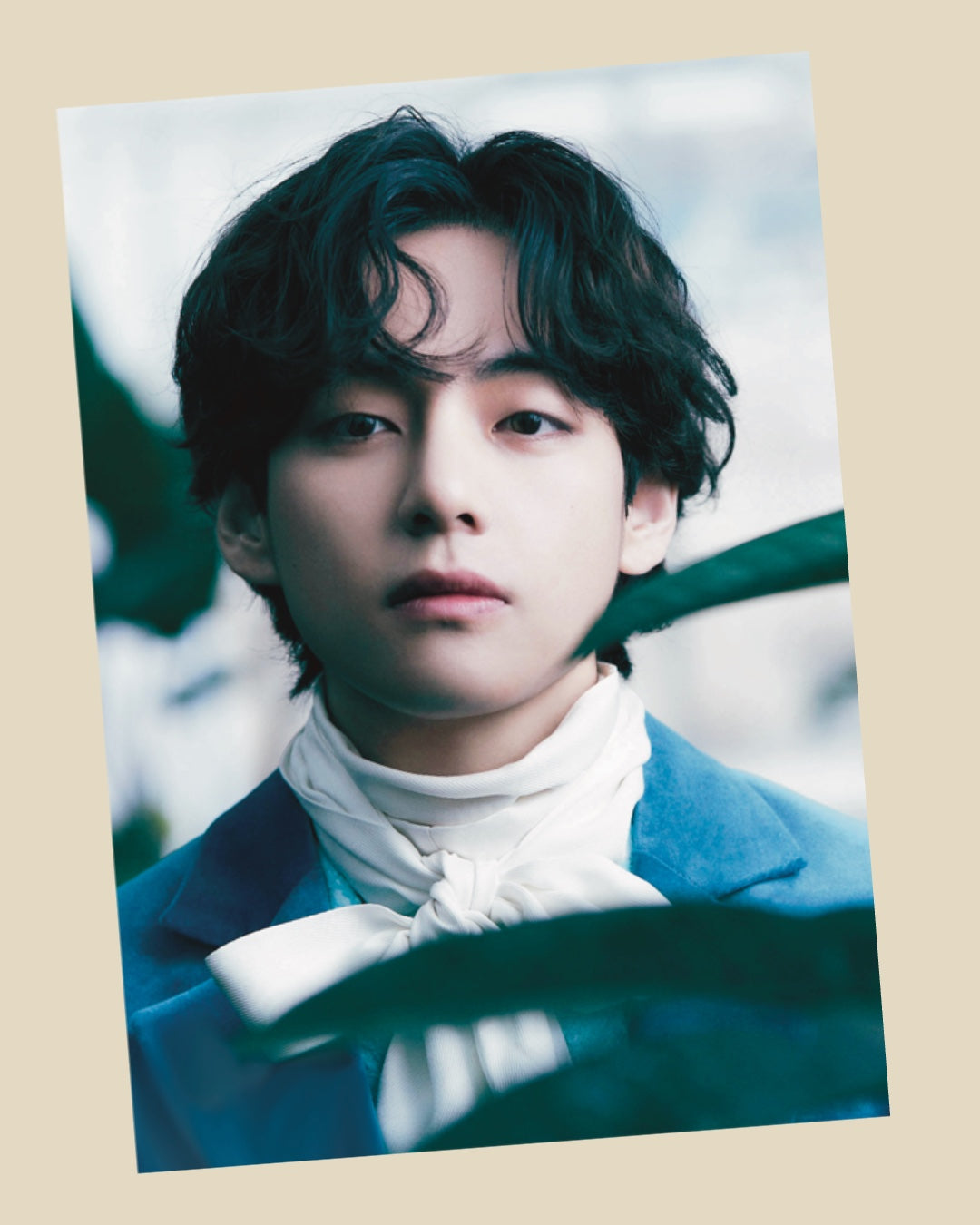 V Photofolio Poster Set (10 pcs)