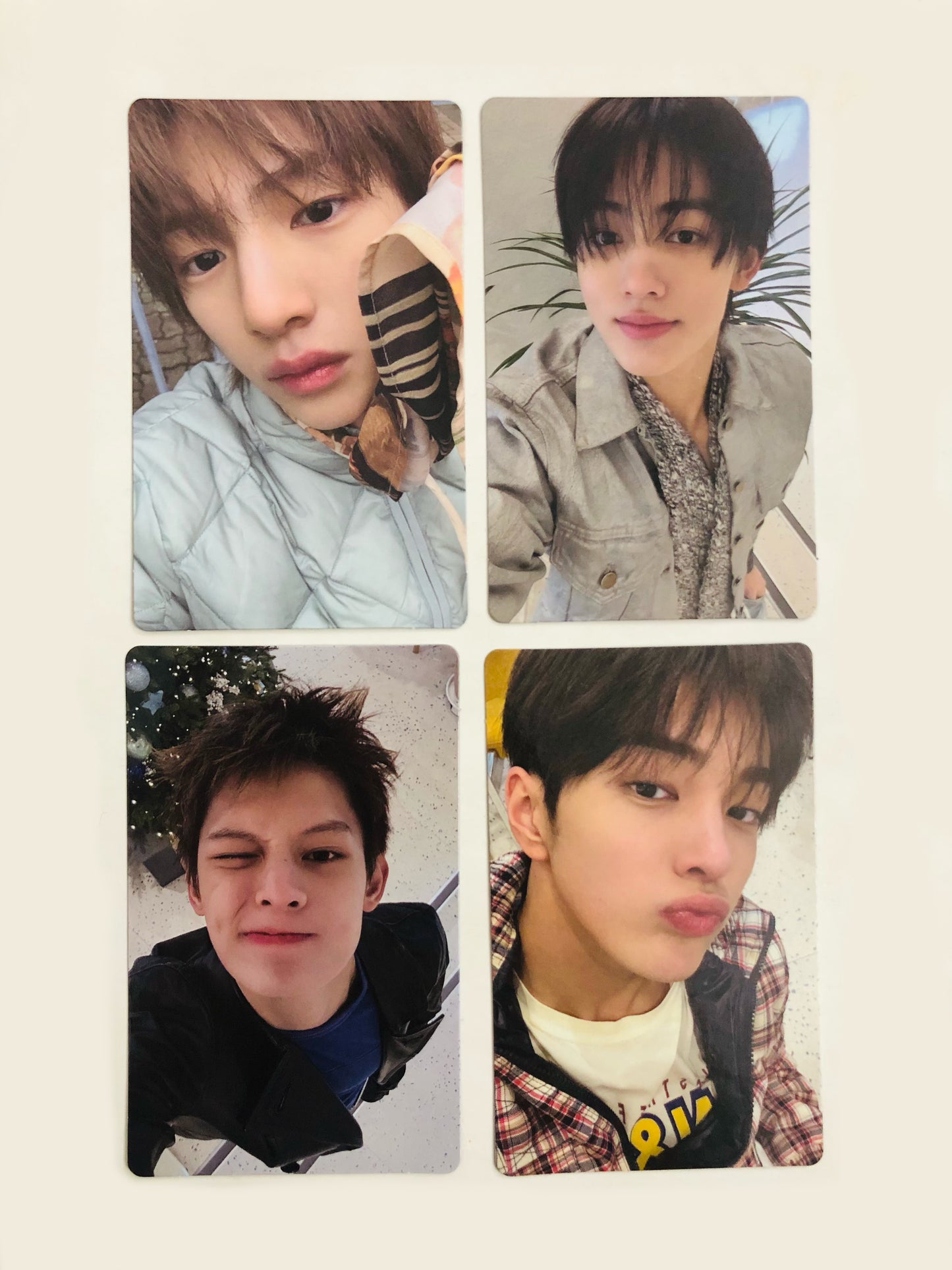 Cortis Greengreen Official Weverse POB Photocards