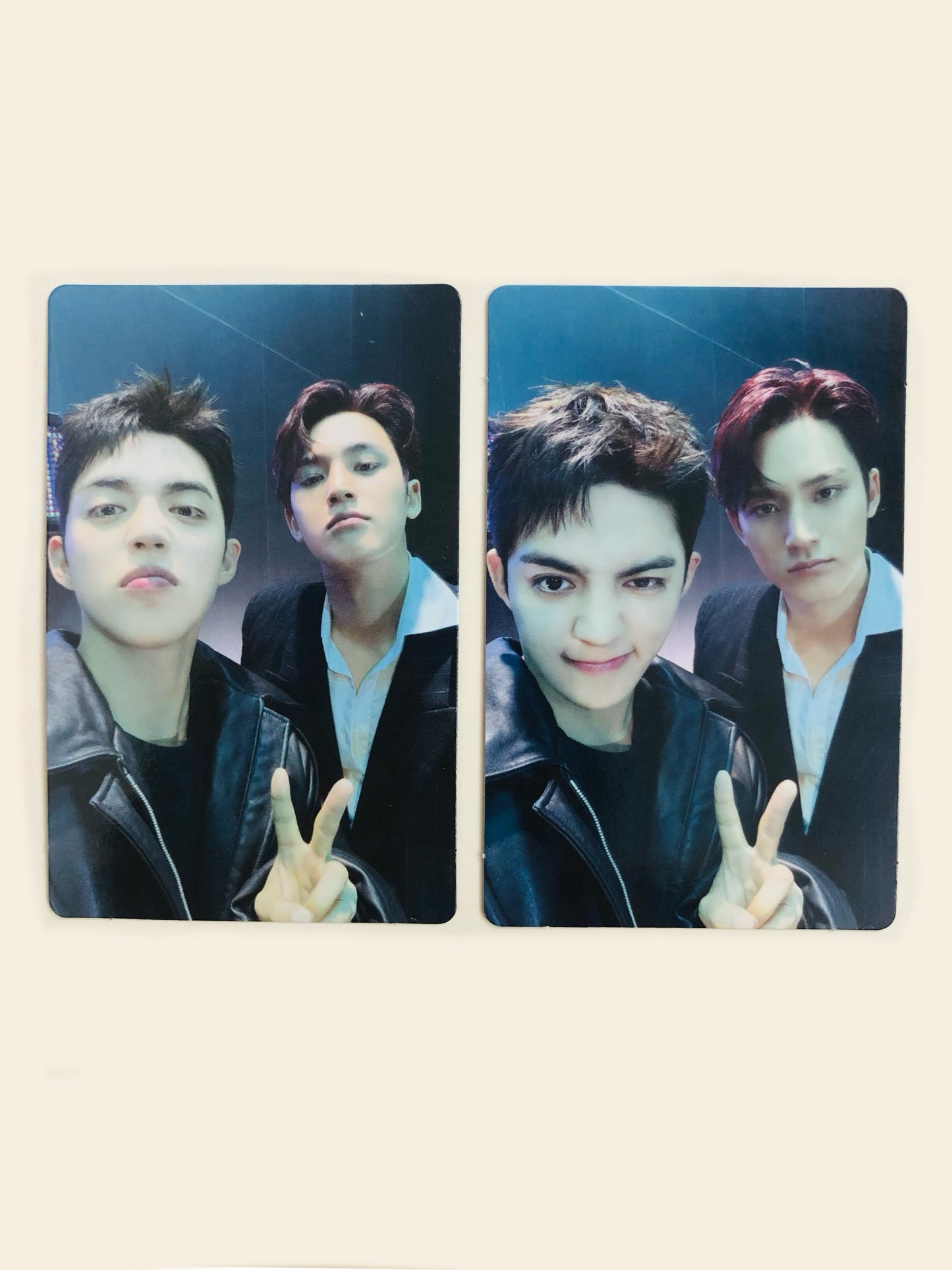 S.Coups + Mingyu Double Up Official Merch Unit Photocards Set