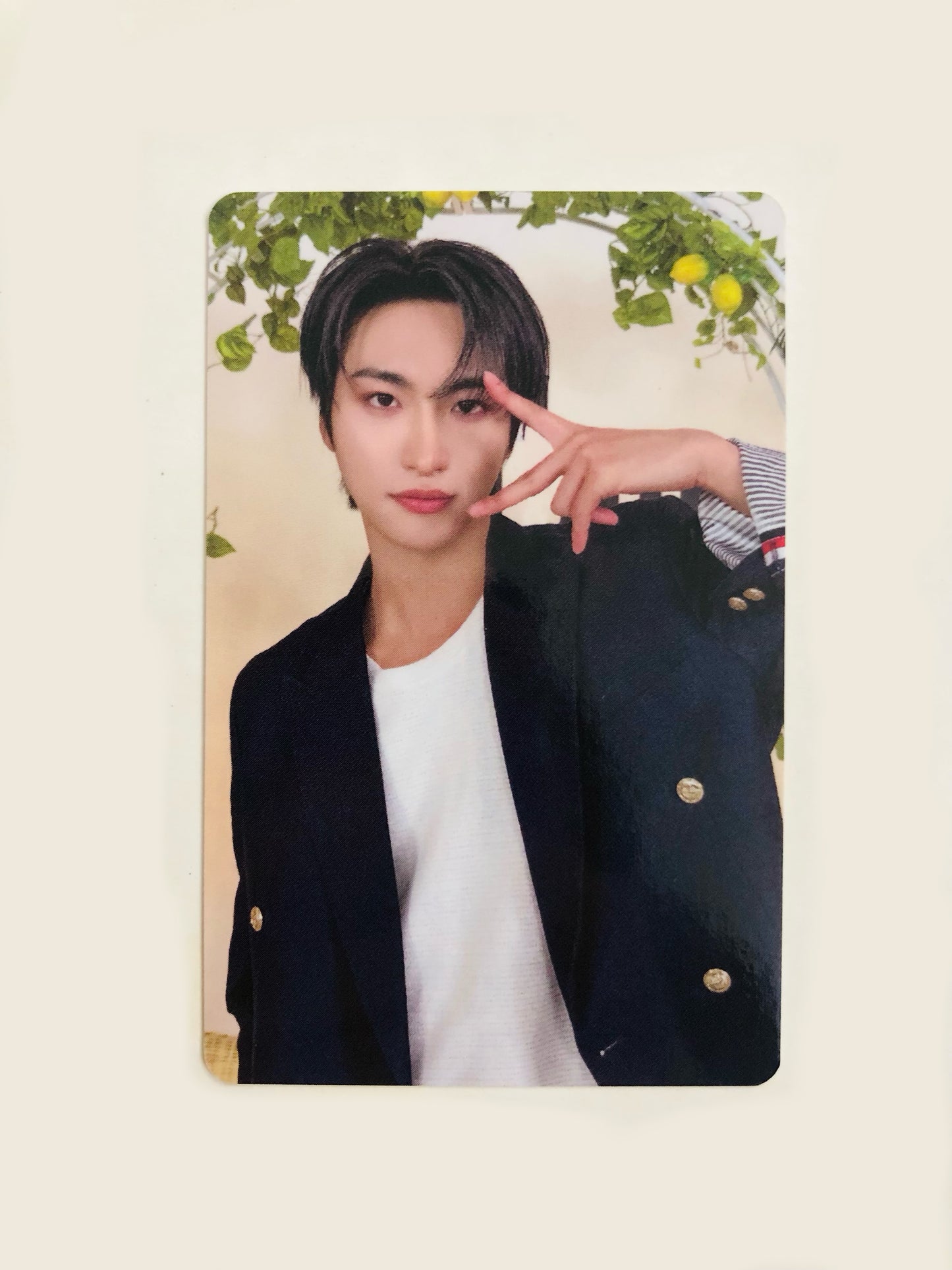 Seonghwa Mighteez Official Photocard