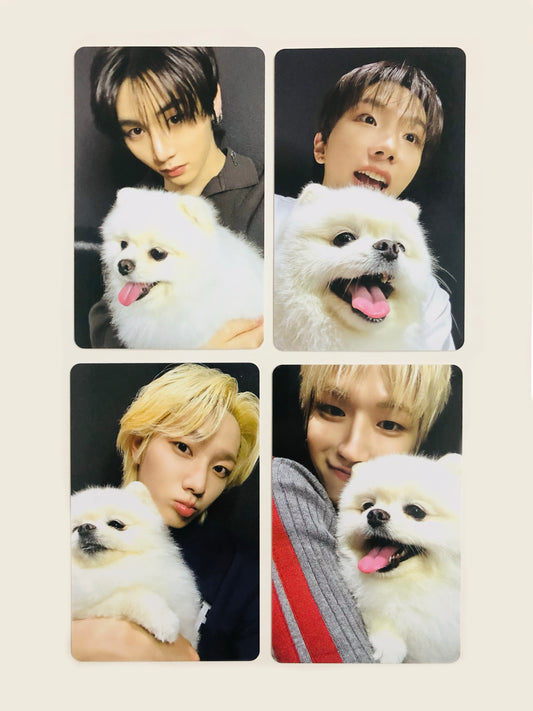 Boynextdoor Home Official Weverse Gift Photocards