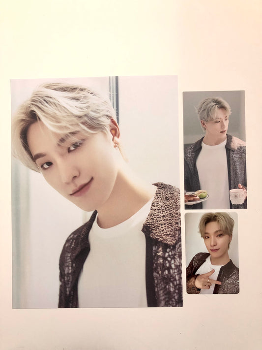SVT Season’s Greetings Official Dino Set