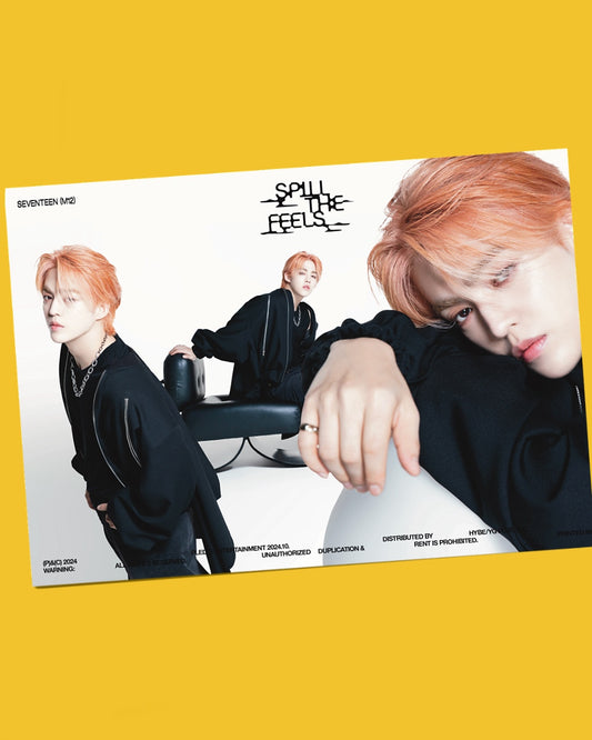 Seventeen Spill The Feels Poster Set (13 pcs)