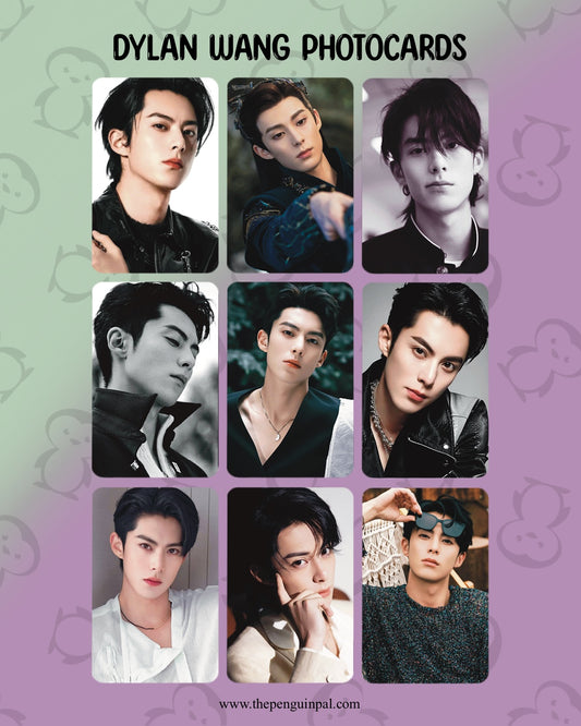 Dylan Wang Photocards (9 pcs)